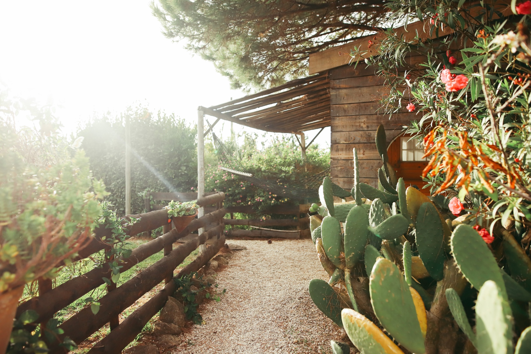 Cabana Jardim exterior with hammock, cacti, and evening light