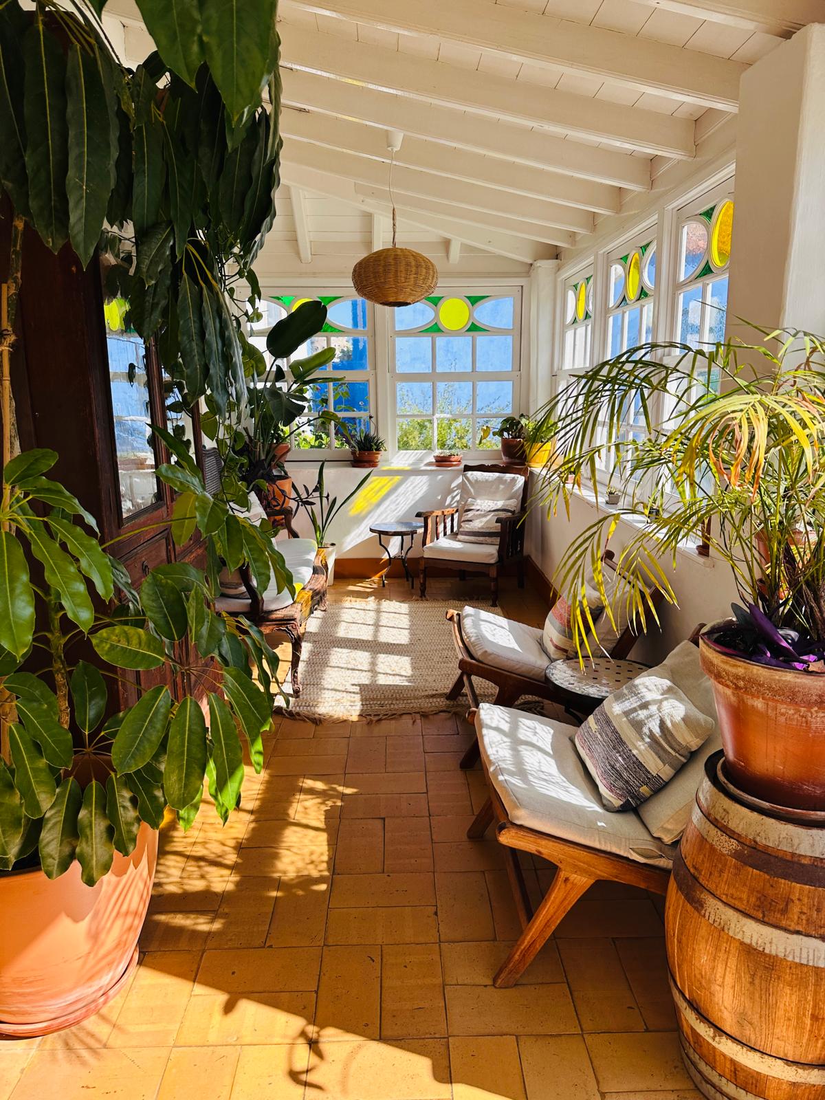 Plant-filled sunroom with stained glass windows at the casa