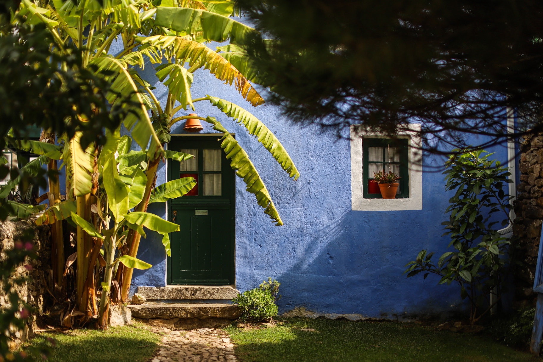 The cobalt blue outbuilding with green door and banana palms at Casa Paco d'Ilhas
